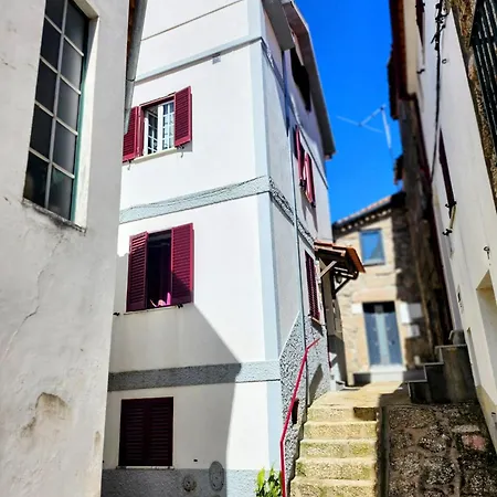 Casa Vidas De *